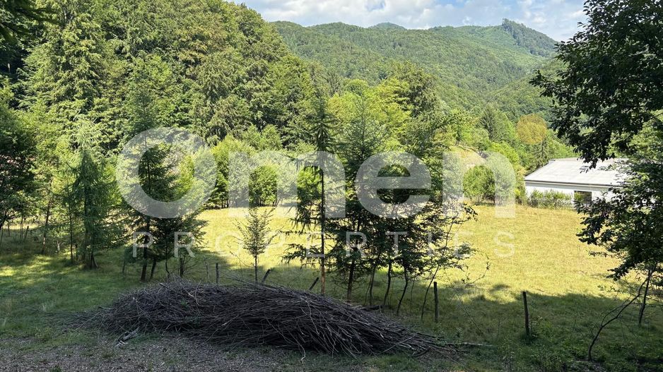 Teren extravilan de vânzare | 1402 mp | Blidari | zonă superbă - Poză 8