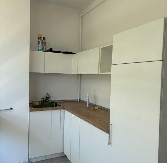 Inchiriere Birou || Nerva Traian || Timpuri Noi || Stradal || ROKA Residence - Poză 7