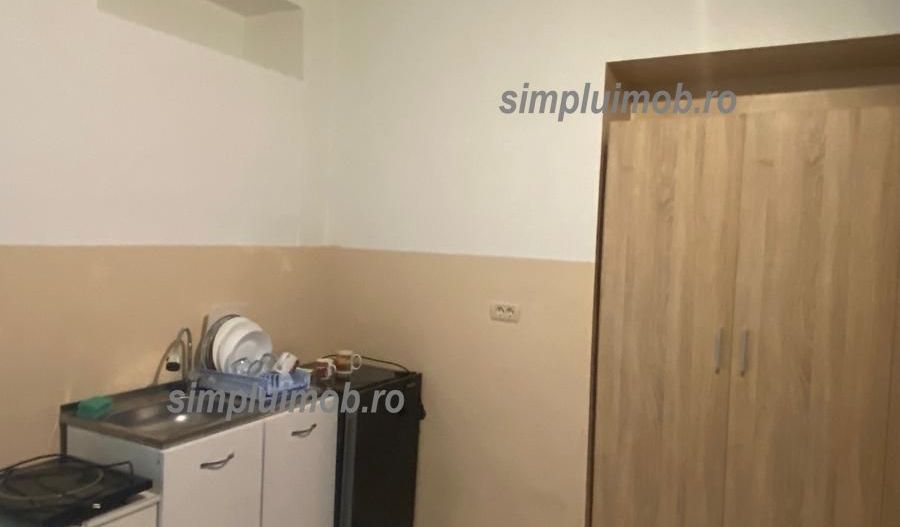 Pet și expats friendly Ultracentral Universitate Km0 Piata Sf.Gheorghe - Poză 3