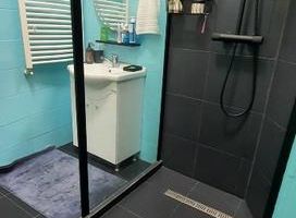 De vanzare Apartament 3 camere in vila, Hala Traian- Mantuleasa - Poză 10