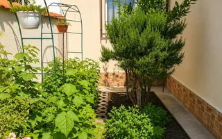 Casă 3 camere  curte proprie – Faleză Nord, Plaja 3 Papuci, Constanța - Poză 12