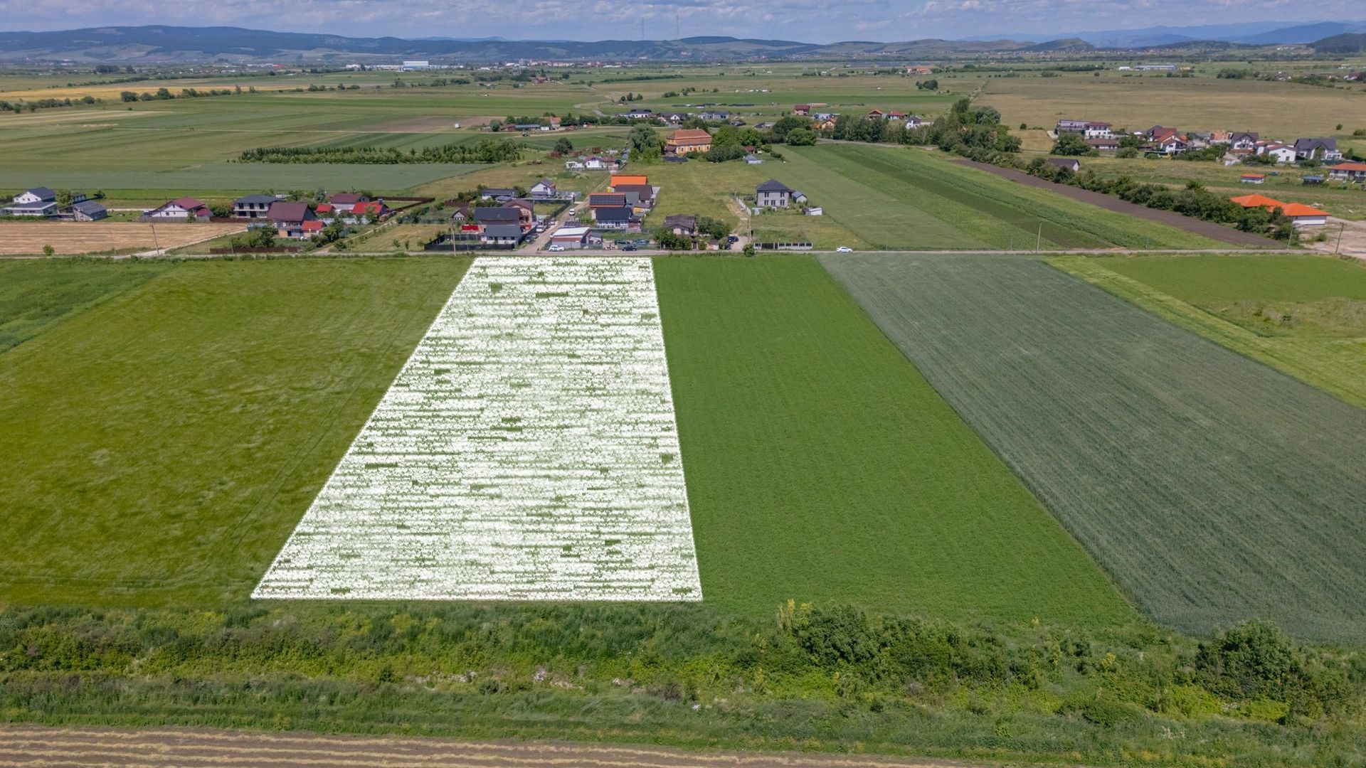 Teren 9.300 mp Stupini | Front 45.59 m la Asfalt | PUG Zonă L1c - Poză 3