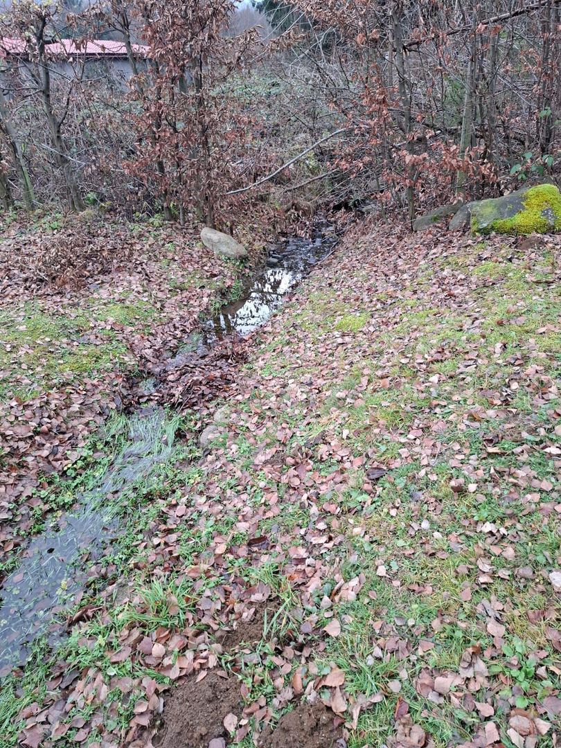 Teren deosebit pozitionat, cu livada, langa padure,  pe Valea Avrigului - Poză 3