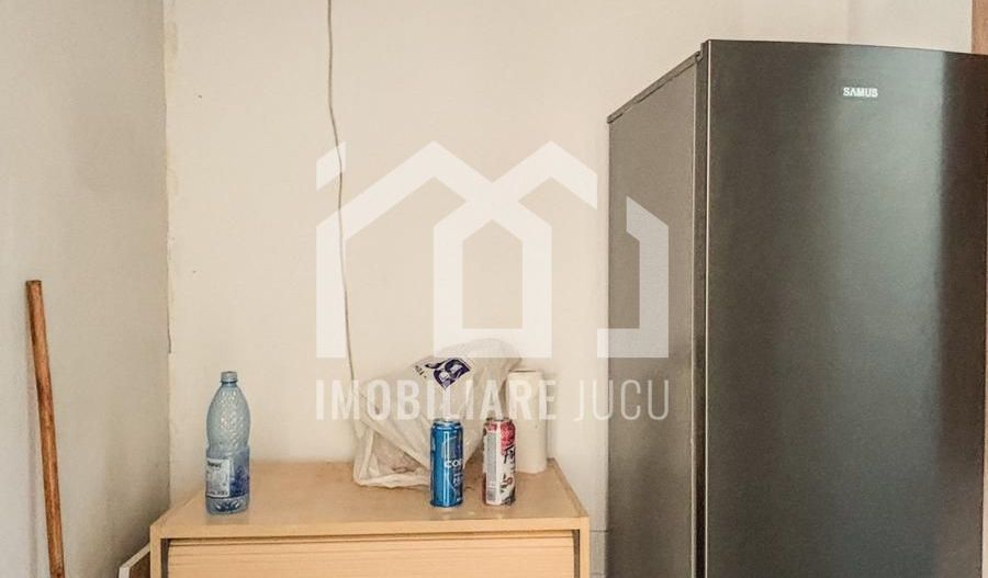 Casa individuala cu 12 camere, Potential Turistic, Visea, Comuna Jucu - Poză 25