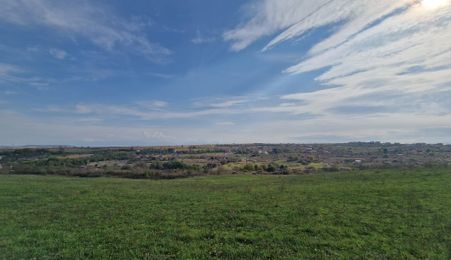 Teren de vanzare - 1500 mp - Daia Noua