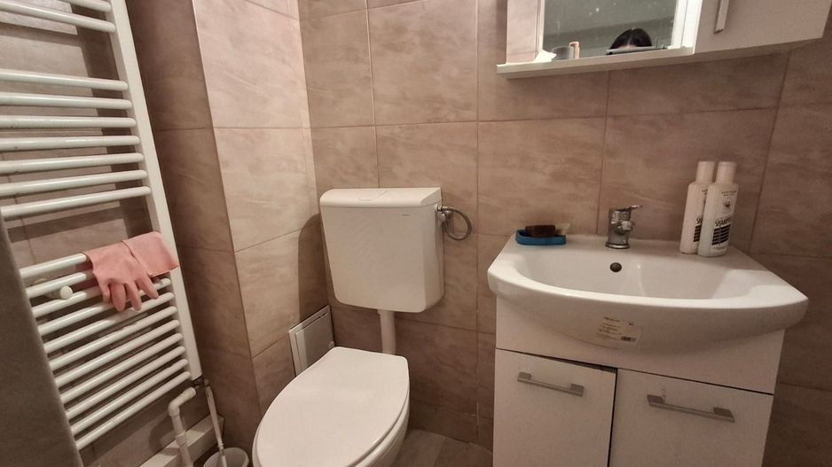 Casa de vanzare in Sibiu, birouri, clinica ,Parcul Sub Arini - Poză 11