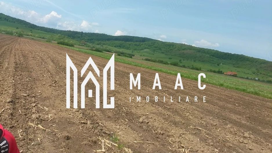 Teren extravilan de vânzare | Bradu | 10.000 mp | intabulat CF - Poză 1