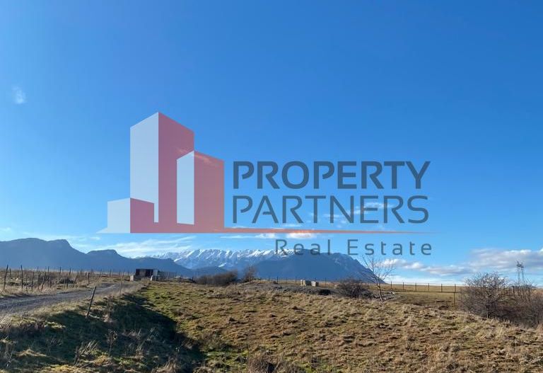 Teren Sohodol 10.000 mp - Poză 4