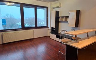 Garsoniera vanzare- Pajurei Ansamblul Dana Nord - Poză 8