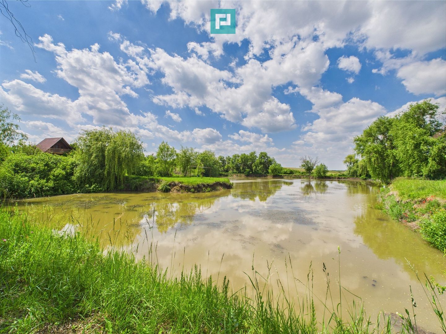 Teren cu baltă- oportunități multiple la Fibiș - Poză 31