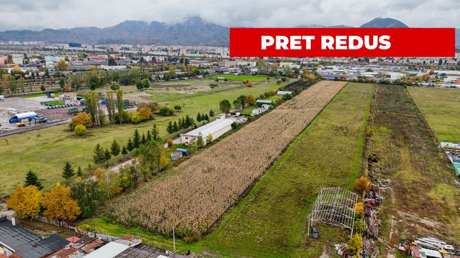 Teren industrial- Timișul Sec oportunitate investițională - Poză 5