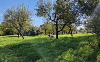 Teren intravilan de vanzare in Bistrita - zona Rompetrol - Poză 4