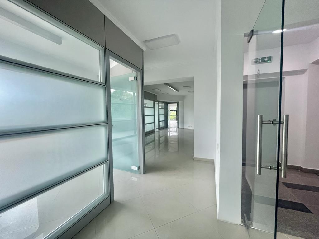 Spatiu de birouri cu vedere spre parc - Poză 3