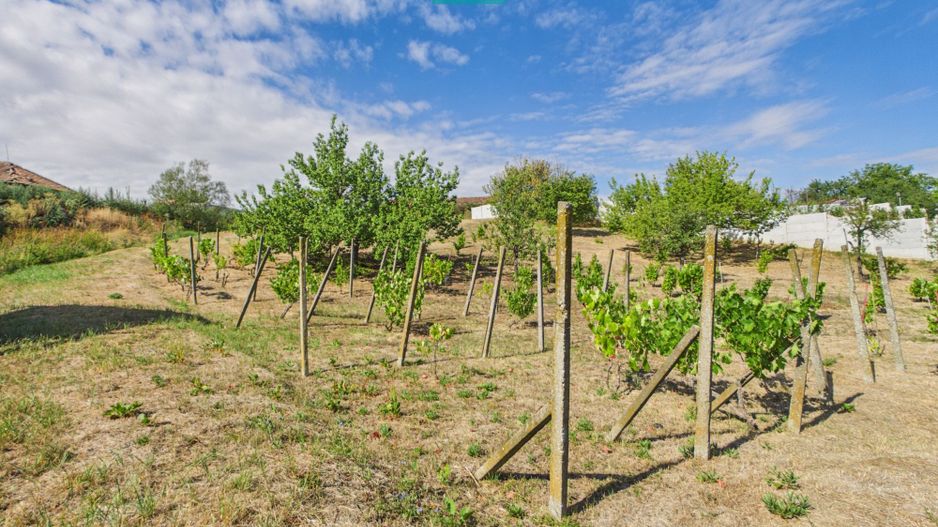 Casă din lemn în Uileacu de Munte – teren 2140 mp - Poză 22