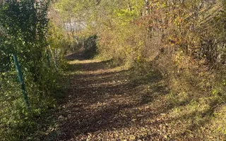 Teren langa pădure 6400mp+casa demolabila-deschidere 35 ml - Poză 14