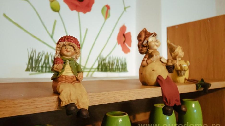 Casa renovata, mobilata si utilata complet - Poză 20