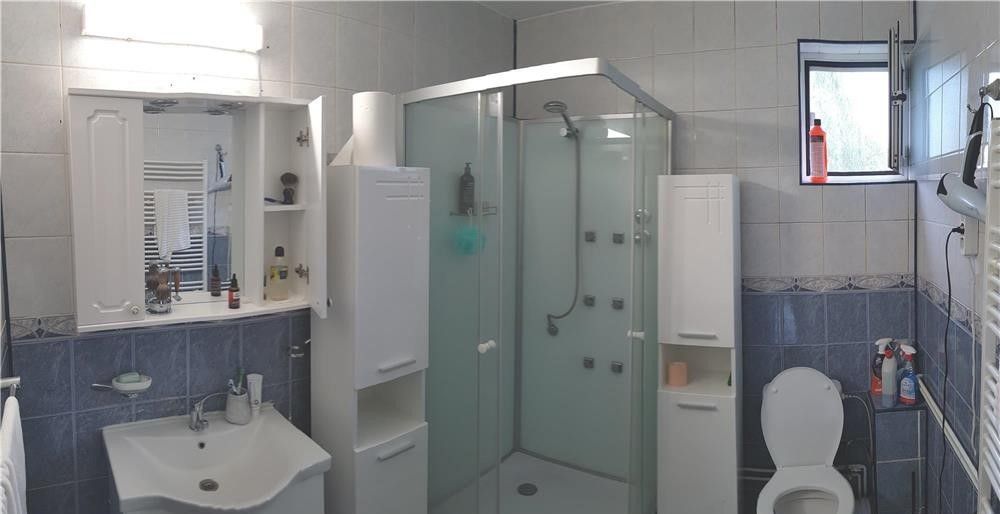 Vila spatioasa Bucurestii Noi | 2 Cocoși - Poză 8