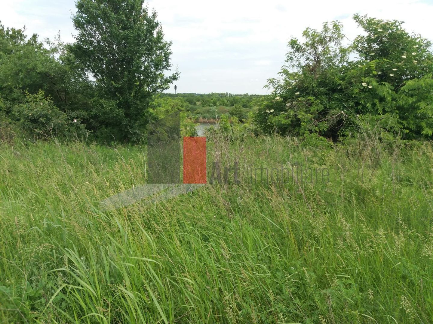 Teren Buftea cu iesire la lac - Poză 27