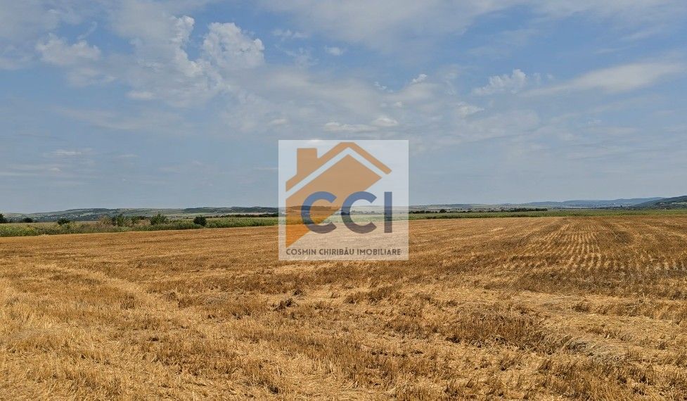 Teren intravilan– 50.000 mp, Bacău, Șoseaua Hol - Poză 8