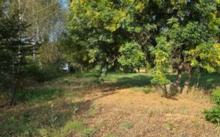 Teren extravilan de vânzare | Vestem | 800 mp | deschidere 20 m - Poză 3