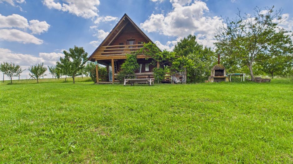 Teren cu baltă- oportunități multiple la Fibiș - Poză 1