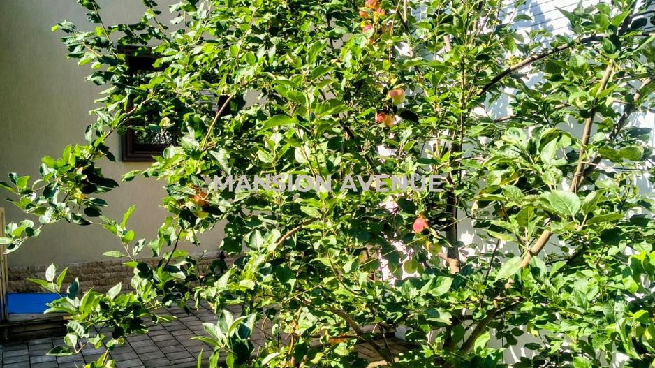Vila premium cu gradina individuala -  Baneasa, langa parcul Herastrau - Poză 20