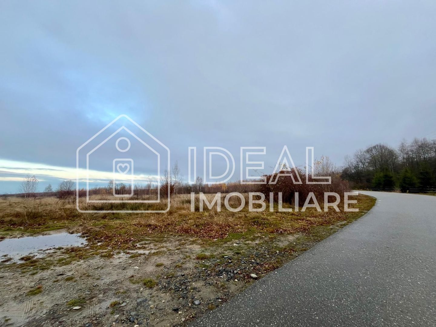 Teren extravilan 6.500 mp – Cârțișoara | Comision 0% - Poză 2