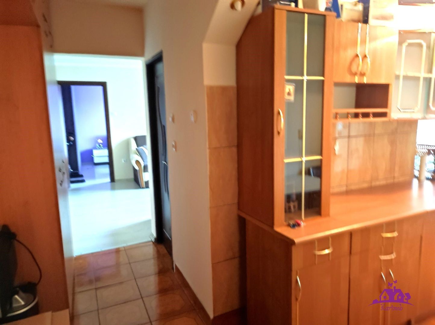 Apartament de inchiriat Nufaru - Poză 2