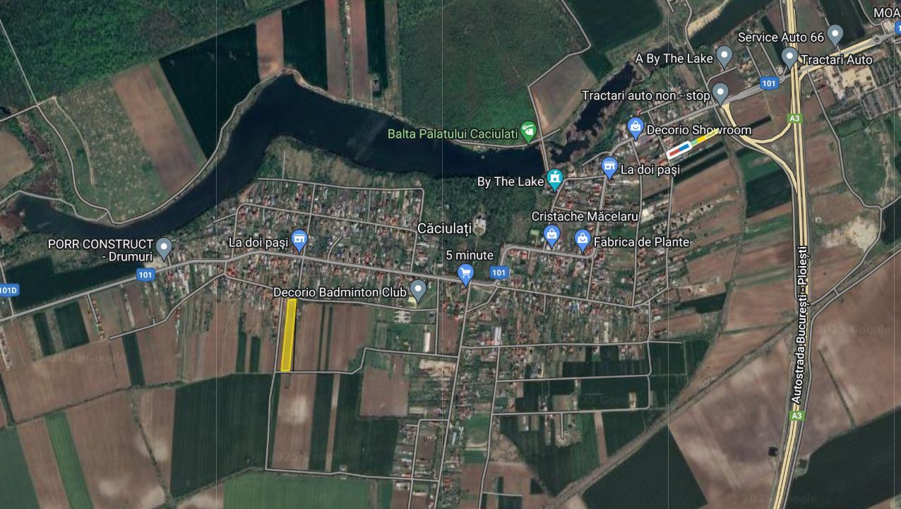 7800 mp, Intravilan,deschidere 30 m, Caciulati - Poză 3