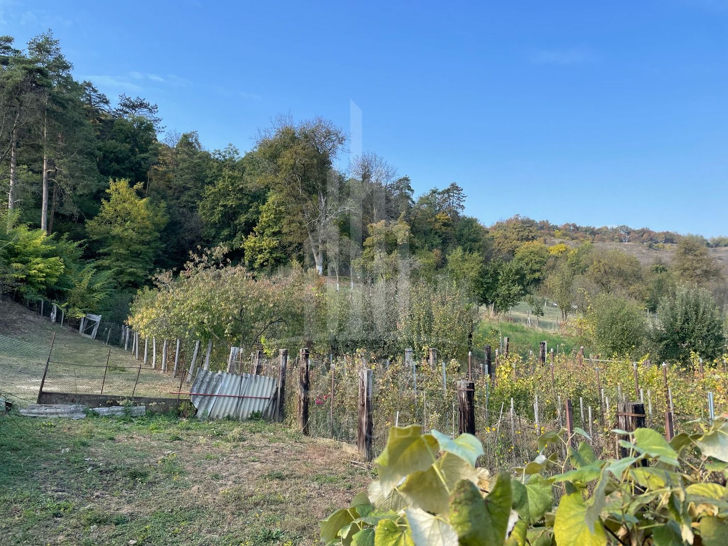 Casa de vanzare - teren 1400 mp - Laslea , Sibiu - Poză 6