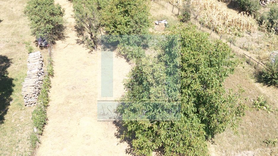 Casa 3 camere, beci ,teren 610 mp + grădină 620 mp-Loc. Cuciulata - Poză 15