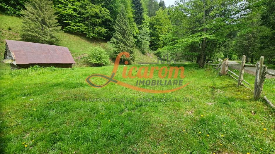 13005 mp teren faneata in Bran Simon cu fornt de 57 mp - Poză 4