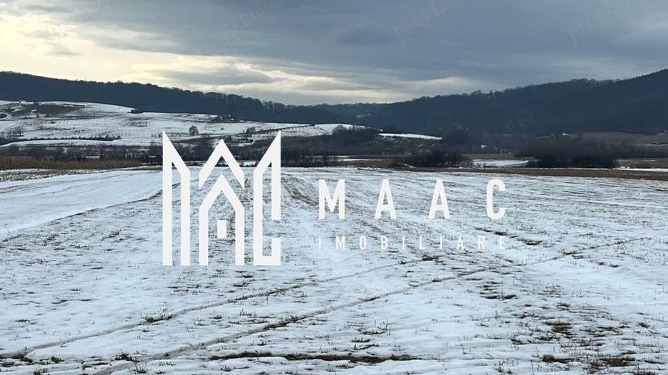 Teren extravilan de vânzare | Bradu | 10.000 mp | intabulat CF - Poză 3