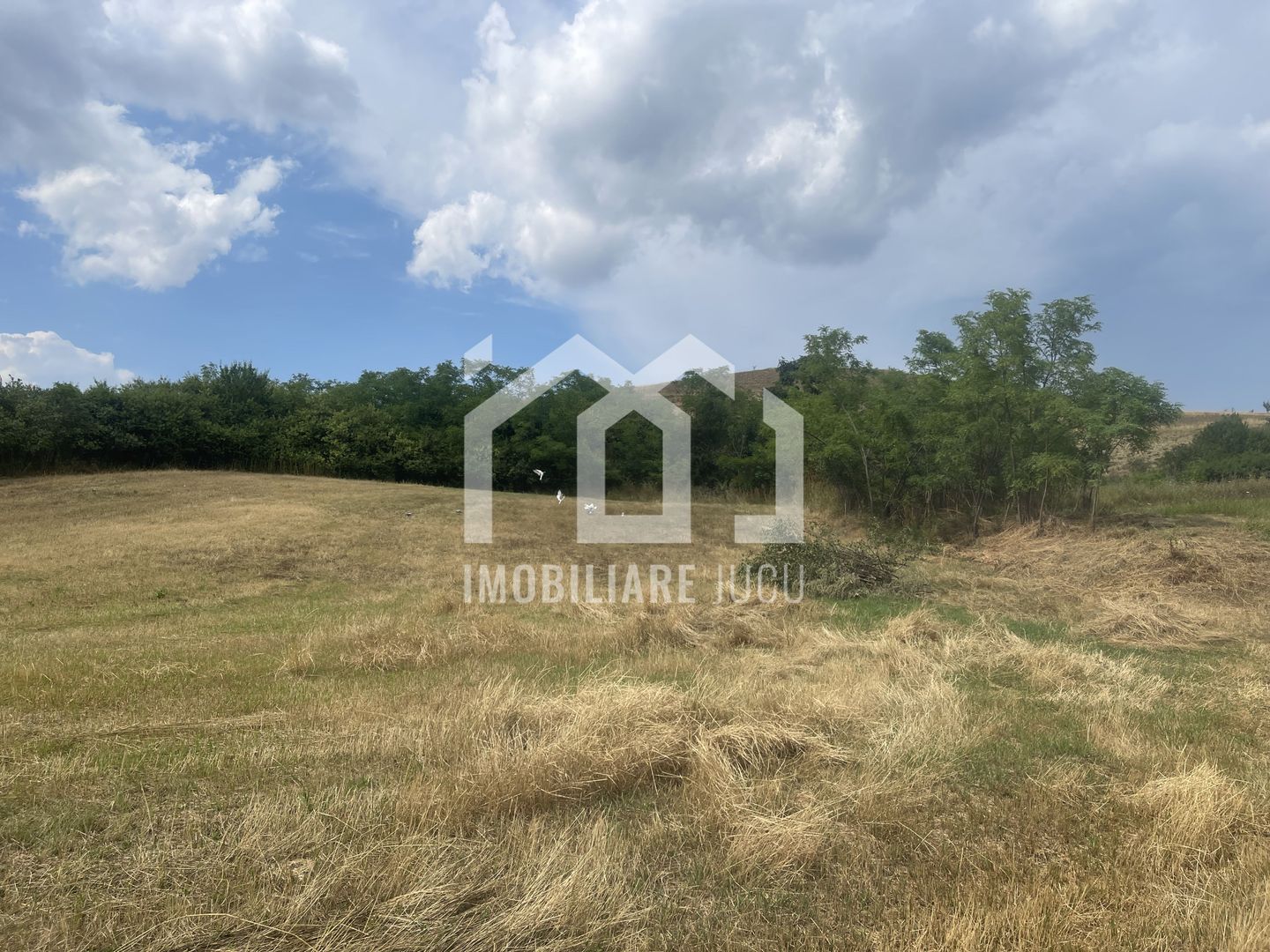 Teren Intravilan Constructrii 2258mp - Gadalin - Poză 2