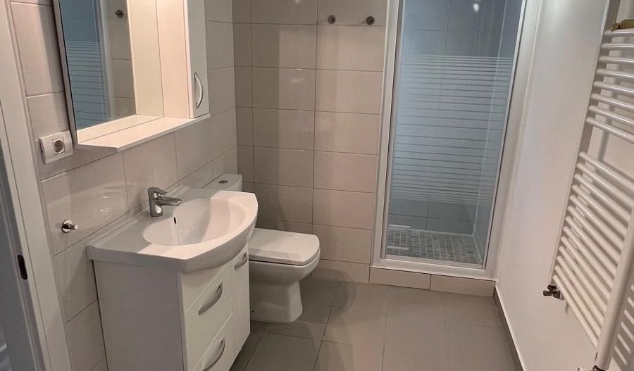 Iancu Nicolae  British School vila de închiriat 5 camere cu piscină - Poză 28