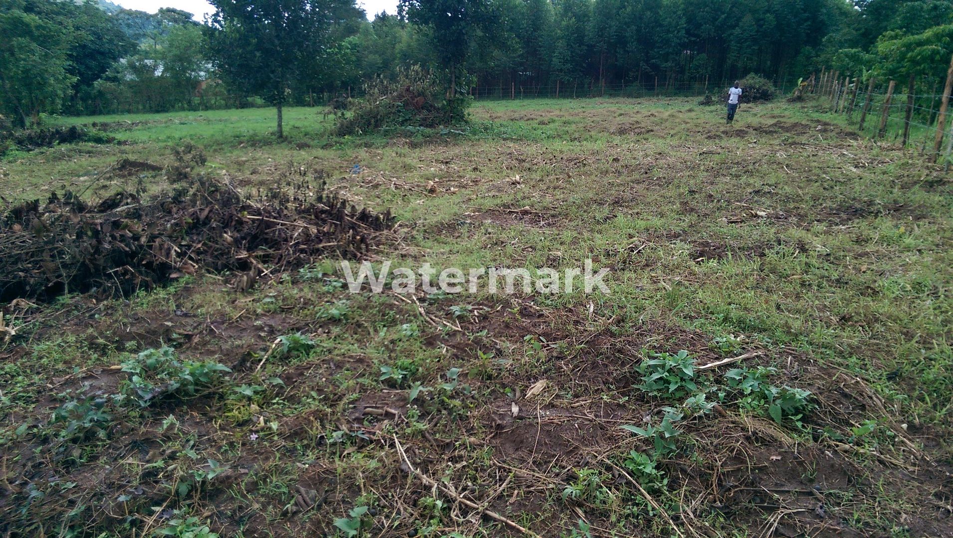 Teren cu PUD de vanzare! Pret excelent! - Poză 2