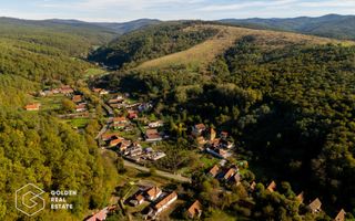 Casa de vacanta, localitatea Cladova, ideal pozitionata - Poză 26