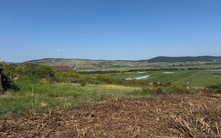 Teren intravilan de vanzare, Micesti - Poză 1