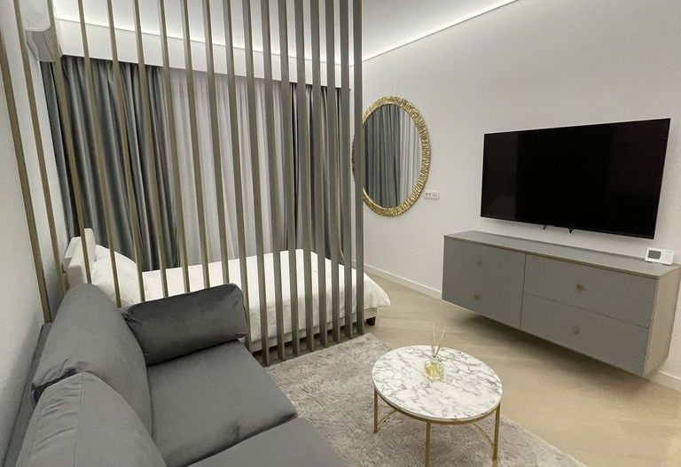 Studio Dublu Cortina North de inchiriat - Poză 1