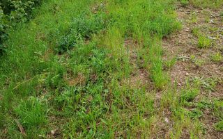 Teren de vis în Faget: Oportunitate unică pentru construirea casei tale ideale. - Poză 7