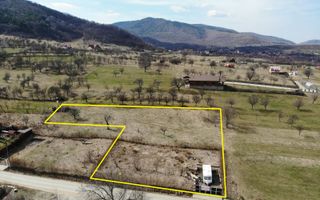 Teren | 2000 MP | Intravilan | AC Proiect D + P | Fantanele - Poză 1