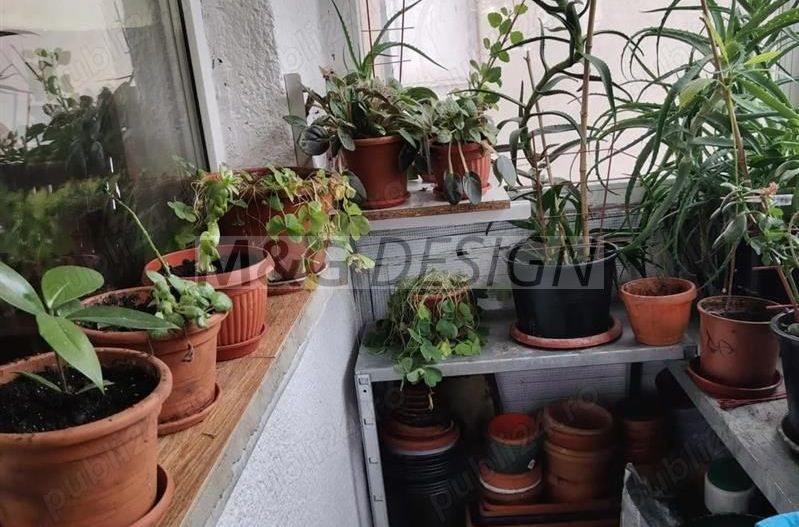 Apartament 4 camere Steaua etaj 1 - Poză 10