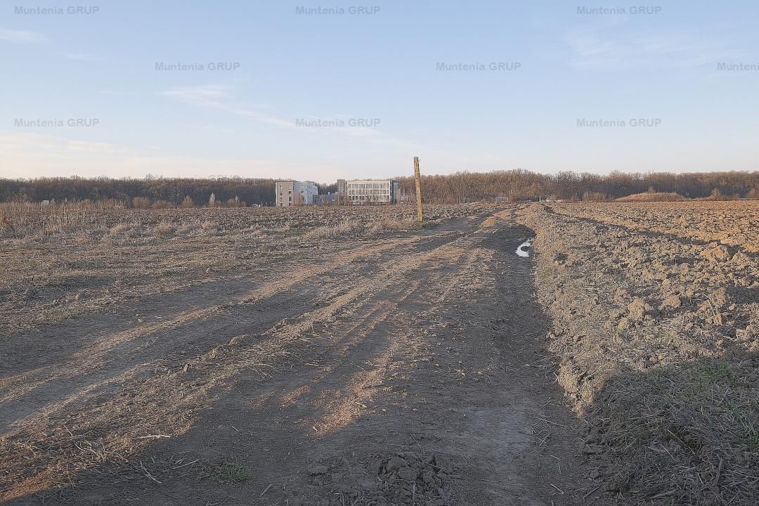 SNAGOV, langa Casa Vlasia, 3.500 mp. teren cu posibilitate pana la 7.000 mp. - Poză 6