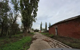 Vanzare hale Mosnita Noua-fosta Ferma 7 - Poză 34