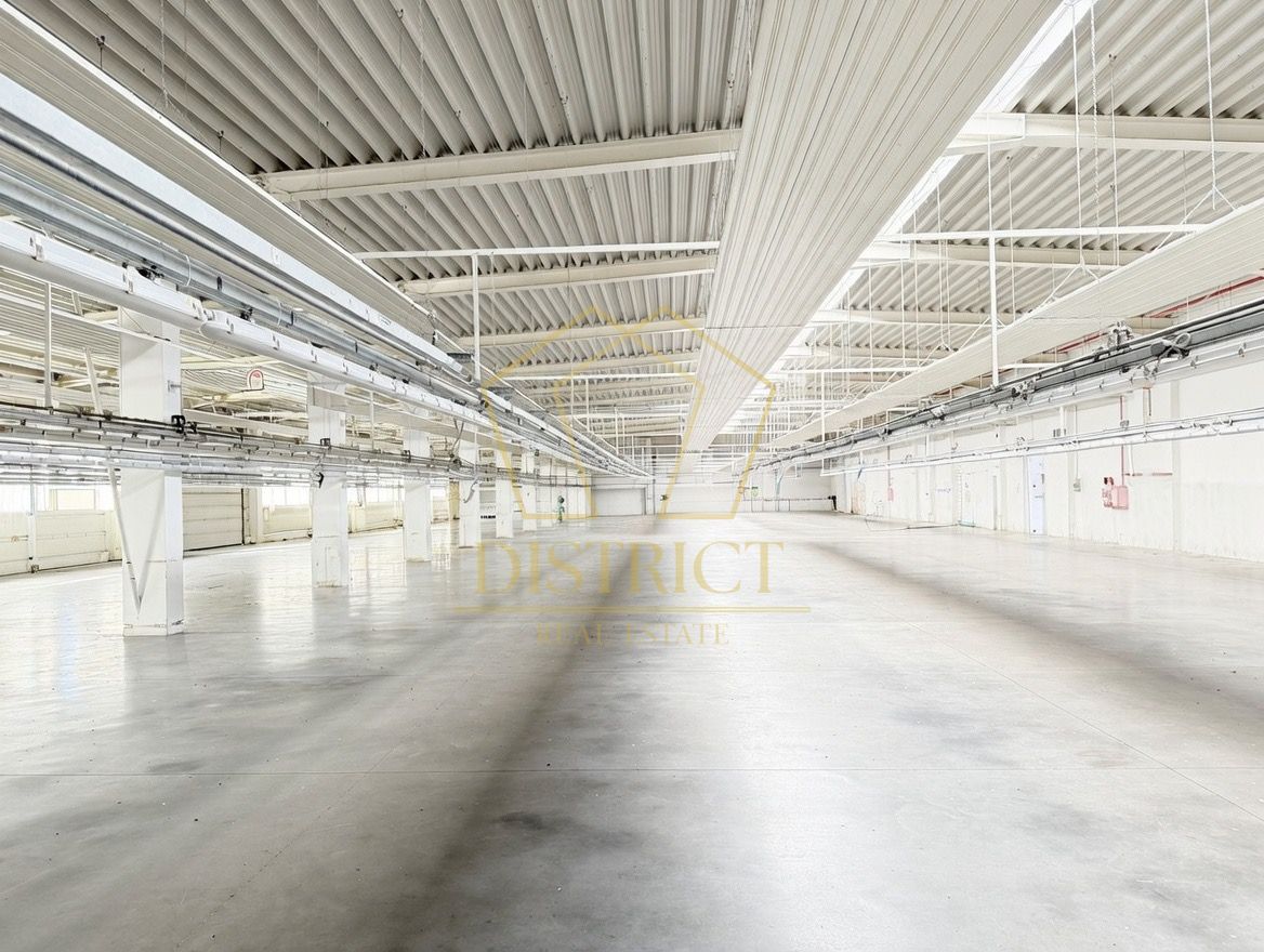 Hala industriala 4.300mp | Sagului | Timisoara | - Poză 2