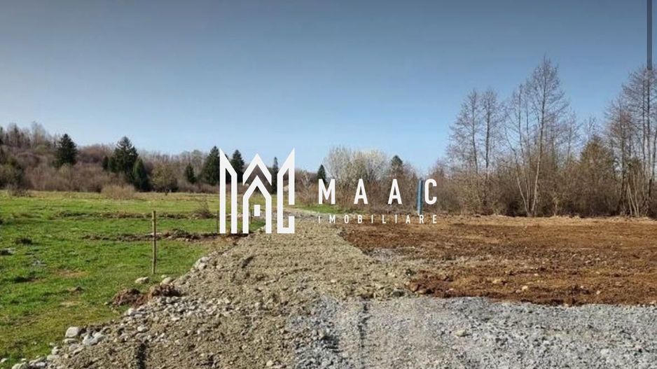 TEREN INTRAVILAN 4007 MP I VALEA AVRIGULUI - Poză 3