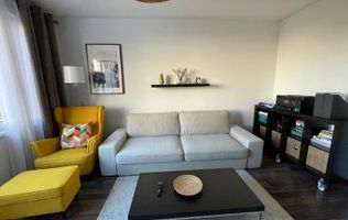 Apartament Ion Campineanu // Cismigiu