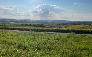 Teren intravilan ,Barnova ,Iași, 834 mp, priveliste panoramica deosebita,langa padure! - Poză 5