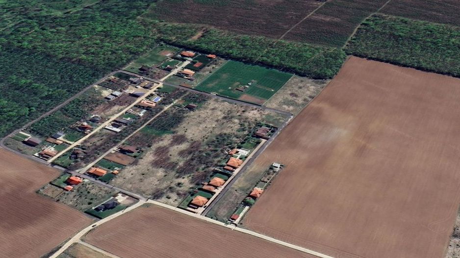 800 mp padurea Snagov Ciofliceni l utilitati la strada - Poză 5