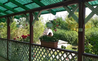 CASA 4 CAMERE, 2000 MP TEREN, ZONA KAUFLAND - Poză 13